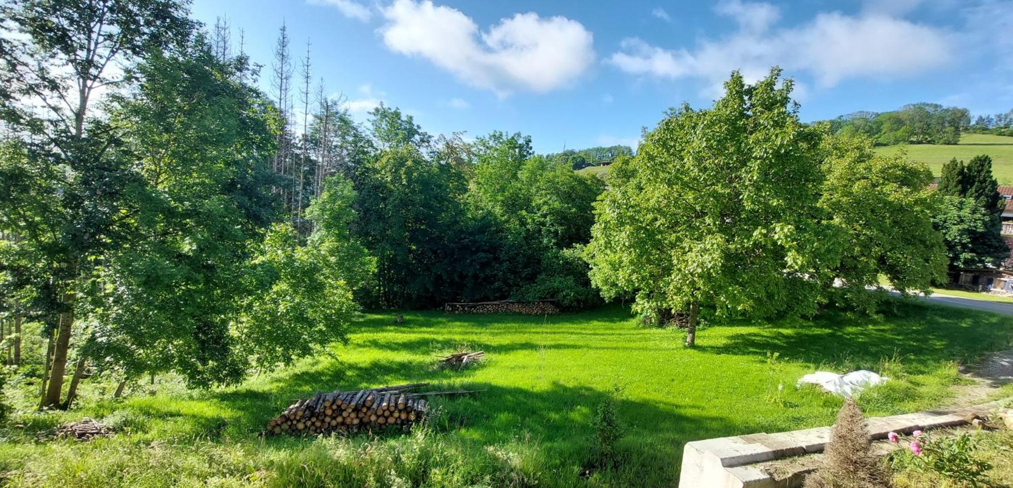 Fewo Bukowina Waldshut-Tiengen Exterior foto